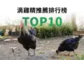 滴雞精推薦排行榜TOP10