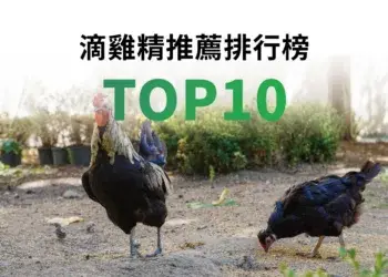 滴雞精推薦排行榜TOP10